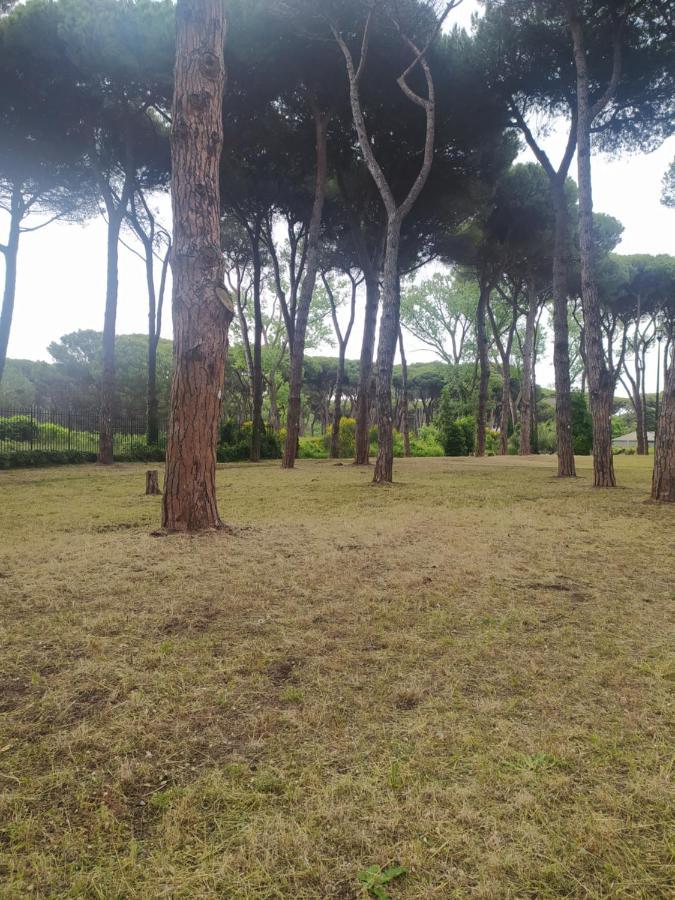 Attico Con Terrazza In Via Dei Traghetti Apartment Лидо ди Остия Екстериор снимка